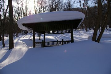 b0030701_2362585.jpg
