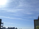 f0036716_235556.jpg