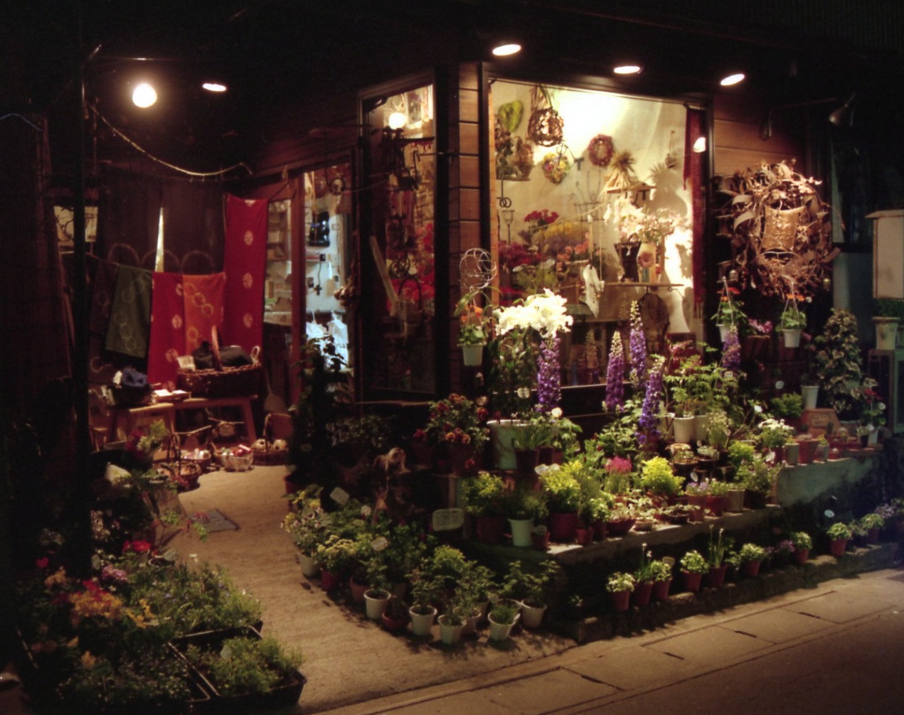 e0080524_1037398.jpg