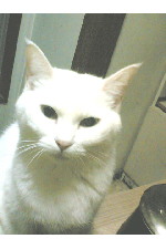 c0011446_21443870.jpg