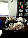 e0080346_1652144.jpg