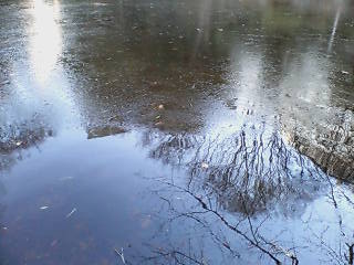 e0063653_17521014.jpg