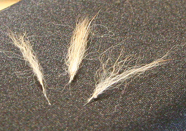 c0072370_21452536.jpg