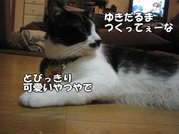 b0041182_918376.jpg