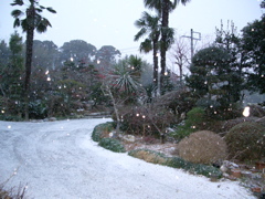 a0061594_07374.jpg