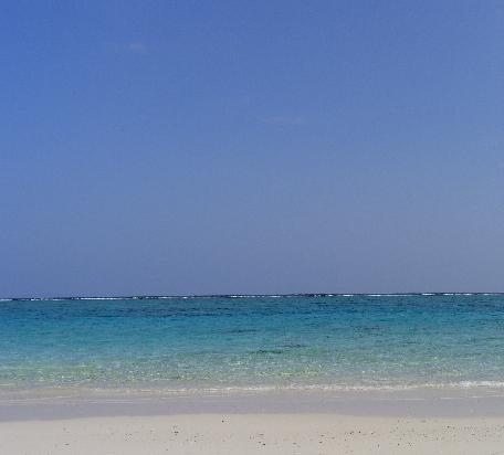 e0077899_112619.jpg