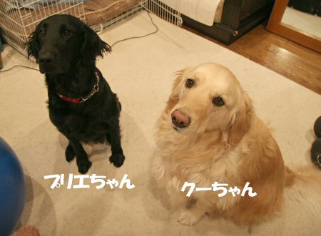 c0050400_184437.jpg