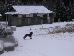 c0065643_22232327.jpg