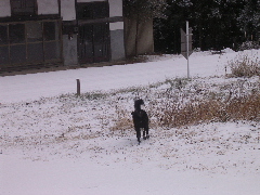 c0065643_22304541.jpg