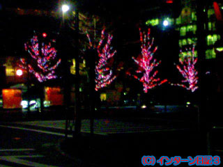 b0061047_214753.jpg