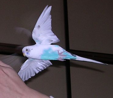 c0054148_1384257.jpg