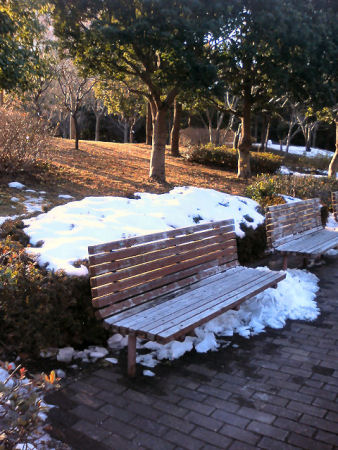 c0074156_1731655.jpg