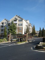 e0015270_73323.jpg