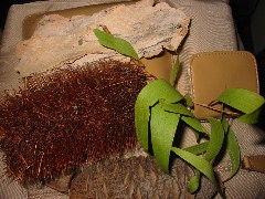 b0039373_20303185.jpg
