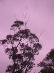 b0039373_20342845.jpg