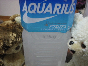 b0061376_18323678.gif
