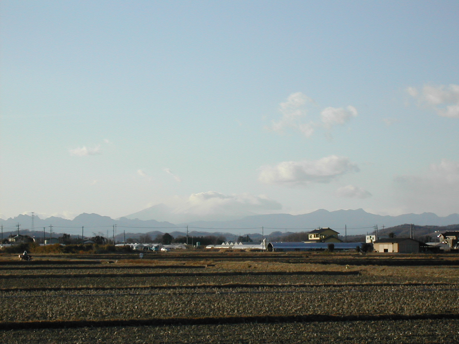 b0032079_027135.jpg