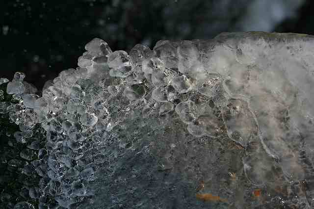 e0024081_16105557.jpg