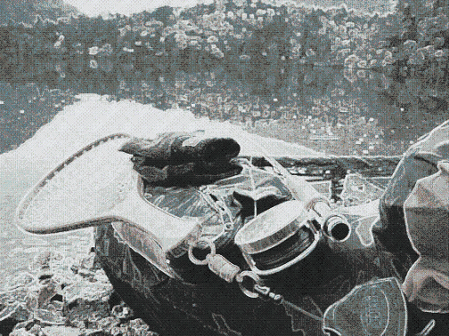 e0035597_2061484.gif