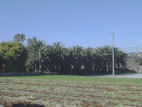 c0008598_9314222.jpg