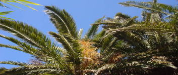 c0008598_937089.jpg