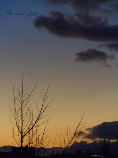 e0008800_0404720.jpg