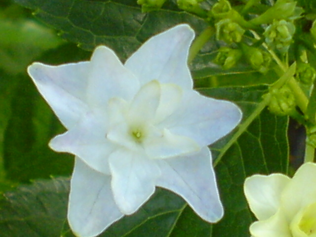 f0052603_23575969.jpg