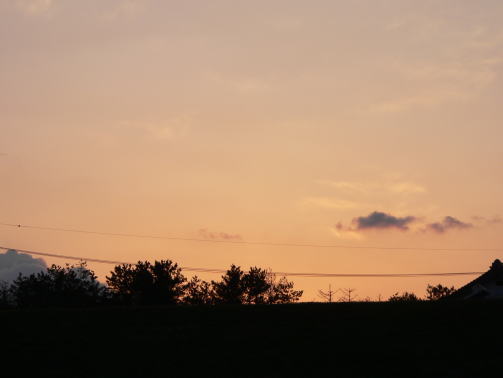 a0015815_11332114.jpg