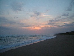 f0002815_1475289.jpg