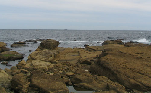 f0035016_21573668.jpg