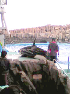 e0013927_1004139.jpg