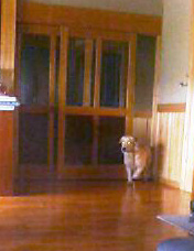 e0065928_17241395.jpg