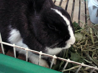 d0009433_13311550.jpg