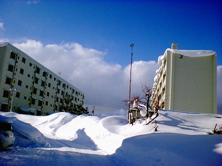 a0026734_15142661.jpg