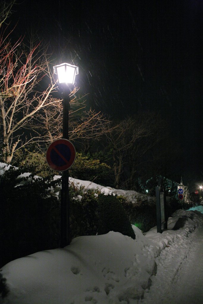 d0001745_211092.jpg