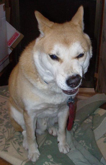 e0077145_0181732.jpg