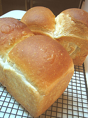 f0006855_22113629.jpg