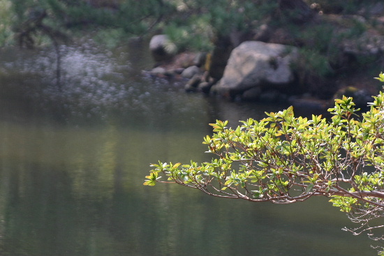 e0018678_22173297.jpg