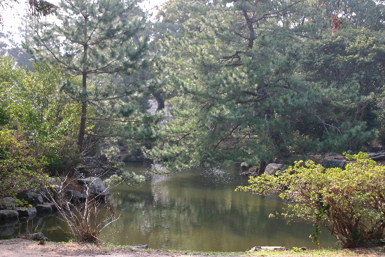 e0018678_22174737.jpg