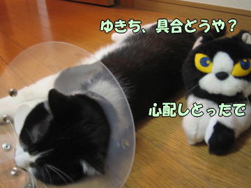 b0041182_175692.jpg