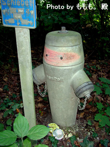 b0038588_21363046.jpg