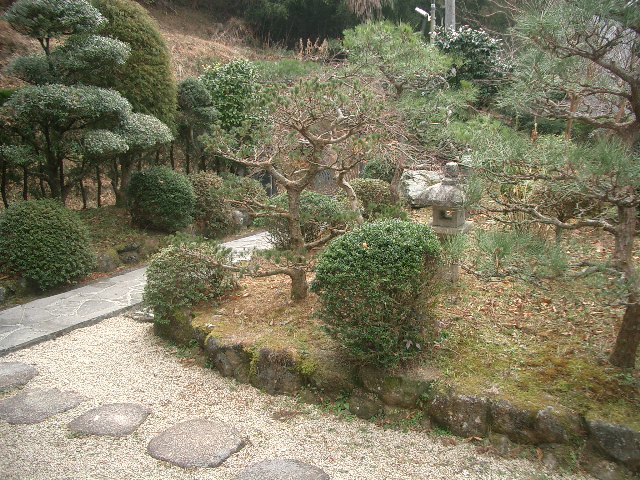 f0003788_8595229.jpg