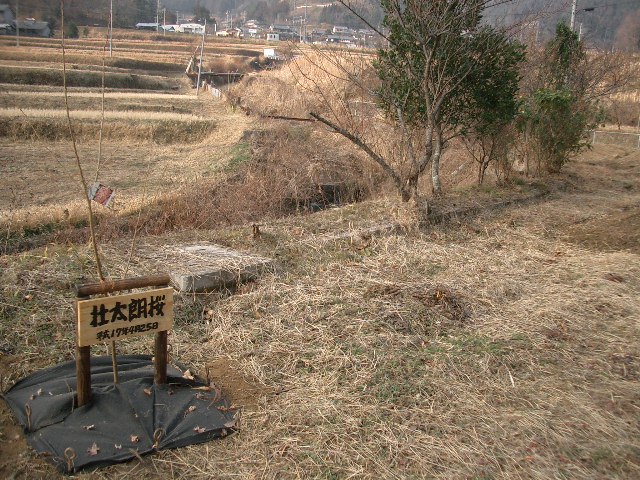 f0003788_90256.jpg