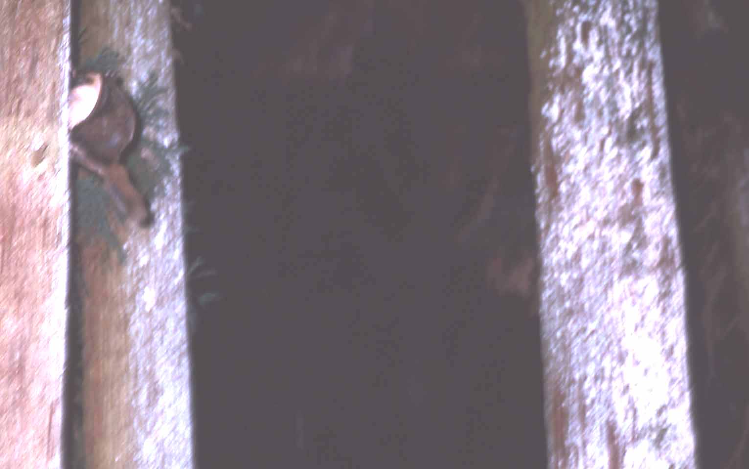 f0047593_10583197.jpg