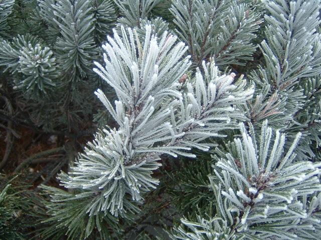 e0028897_1925511.jpg