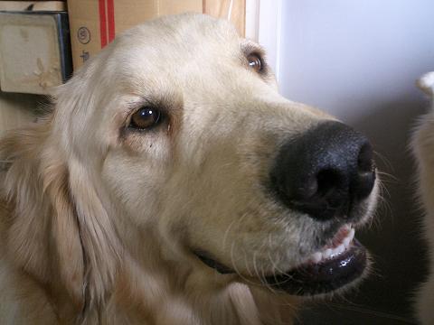 f0025103_15193038.jpg