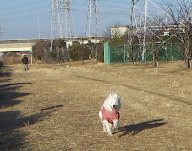 e0018604_1726392.jpg