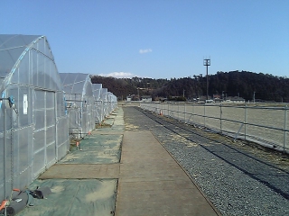 e0073808_2114648.jpg