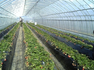 e0073808_2118243.jpg