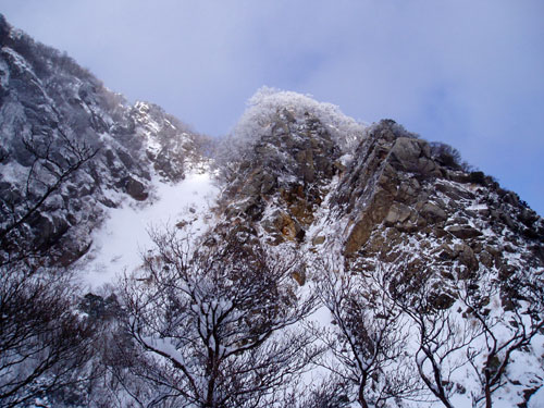 e0091909_2064464.jpg